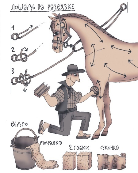 Иллюстрация к книге — Школа верховой езды для начинающих [i_026.jpg]