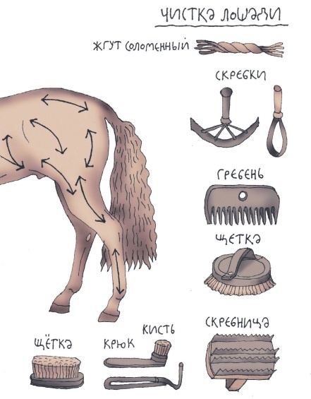 Иллюстрация к книге — Школа верховой езды для начинающих [i_027.jpg]