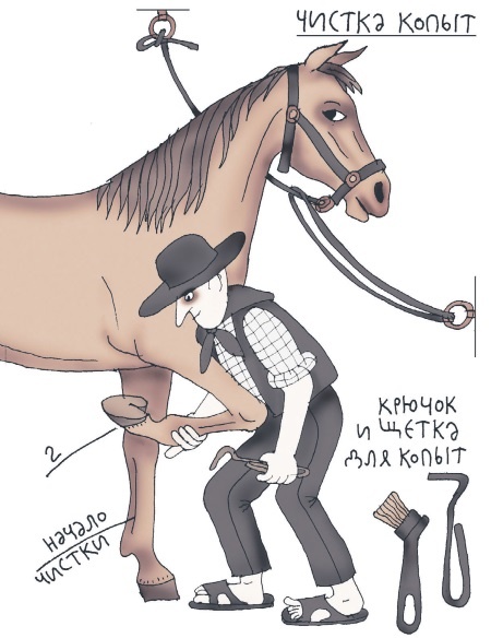 Иллюстрация к книге — Школа верховой езды для начинающих [i_030.jpg]