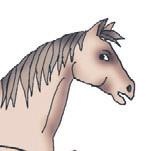 Иллюстрация к книге — Школа верховой езды для начинающих [i_034.jpg]