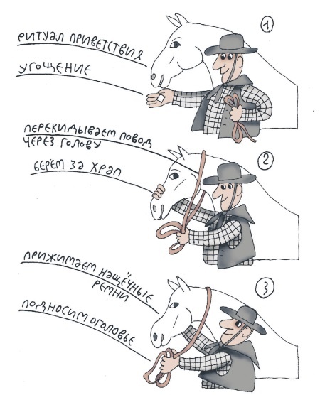 Иллюстрация к книге — Школа верховой езды для начинающих [i_042.jpg]