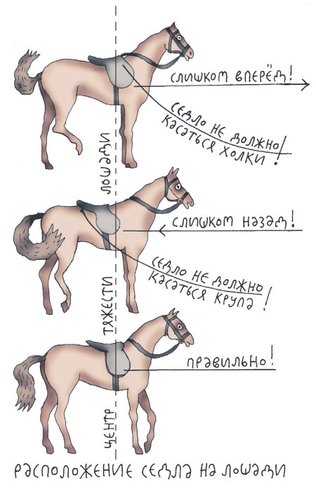 Иллюстрация к книге — Школа верховой езды для начинающих [i_046.jpg]