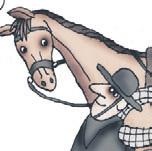 Иллюстрация к книге — Школа верховой езды для начинающих [i_054.jpg]