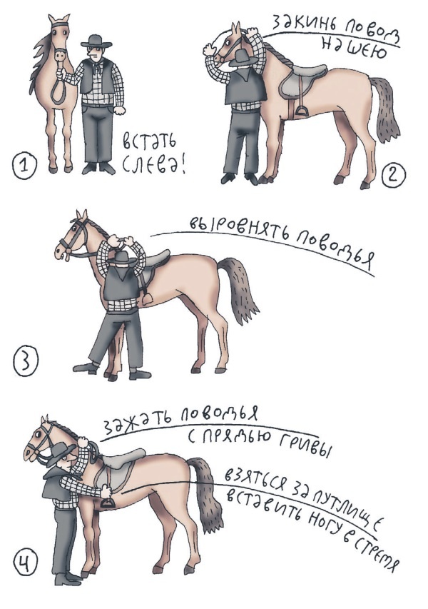Иллюстрация к книге — Школа верховой езды для начинающих [i_056.jpg]