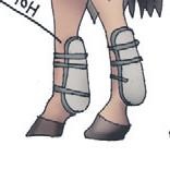 Иллюстрация к книге — Школа верховой езды для начинающих [i_065.jpg]