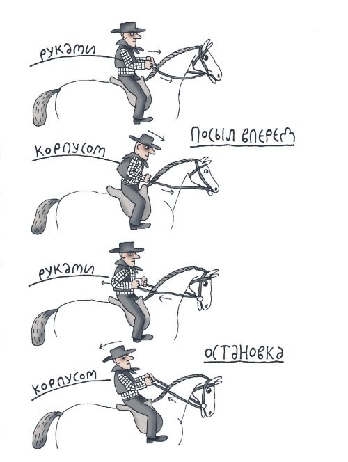 Иллюстрация к книге — Школа верховой езды для начинающих [i_066.jpg]