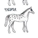 Иллюстрация к книге — Школа верховой езды для начинающих [i_068.jpg]