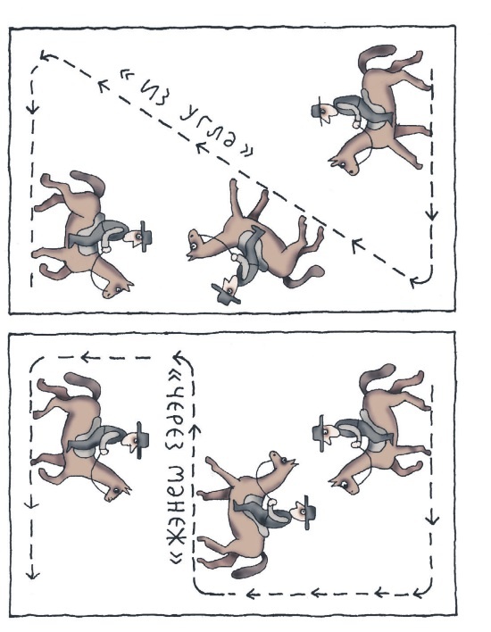 Иллюстрация к книге — Школа верховой езды для начинающих [i_076.jpg]