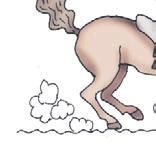 Иллюстрация к книге — Школа верховой езды для начинающих [i_081.jpg]