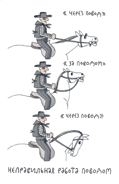 Иллюстрация к книге — Школа верховой езды для начинающих [i_083.jpg]