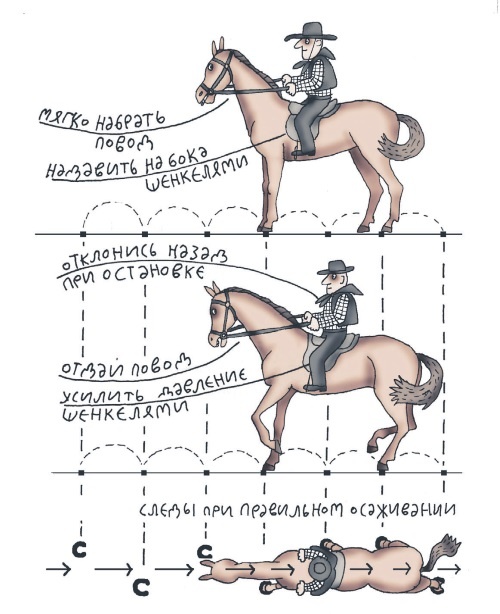 Иллюстрация к книге — Школа верховой езды для начинающих [i_088.jpg]