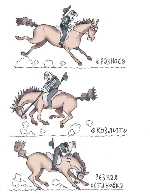 Иллюстрация к книге — Школа верховой езды для начинающих [i_098.jpg]