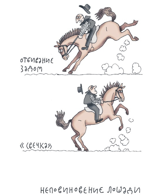 Иллюстрация к книге — Школа верховой езды для начинающих [i_099.jpg]