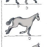 Иллюстрация к книге — Школа верховой езды для начинающих [i_103.jpg]