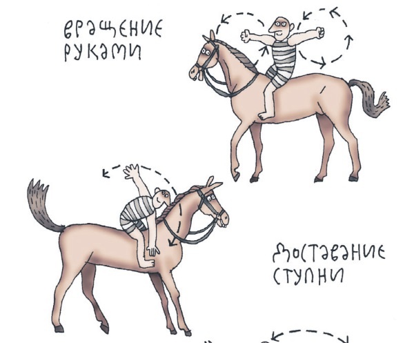 Иллюстрация к книге — Школа верховой езды для начинающих [i_105.jpg]