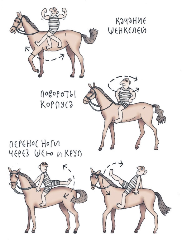 Иллюстрация к книге — Школа верховой езды для начинающих [i_107.jpg]