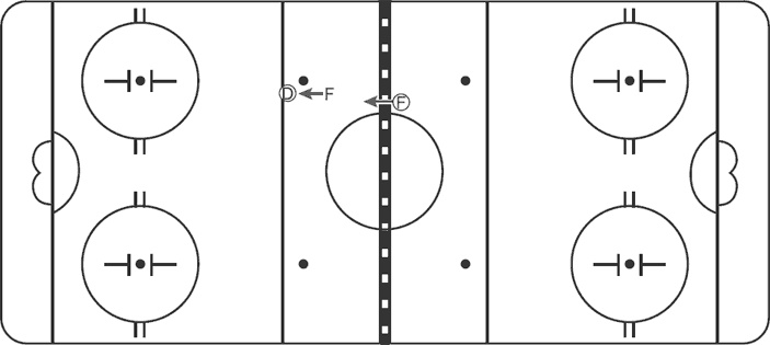 Иллюстрация к книге — Библия хоккейного тренера. Тактика и стратегия от 16 хоккейных топ-тренеров США [i_013.jpg]