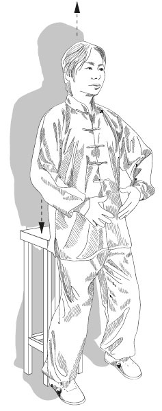 Иллюстрация к книге — Человек тайцзи. Чжан Шаньмин. Путь мастера [i_031.jpg]