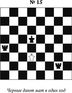 Иллюстрация к книге — Книга начинающего шахматиста [i_018.jpg]