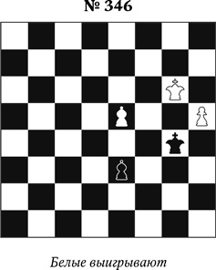 Иллюстрация к книге — Книга начинающего шахматиста [i_895.jpg]