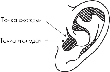 Иллюстрация к книге — Похудение по-тибетски. Как избавиться от лишнего веса, питаясь вкусно [_45.jpg]