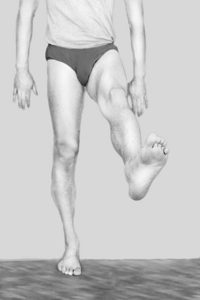 Иллюстрация к книге — Чтобы спина не болела [_067.jpg]