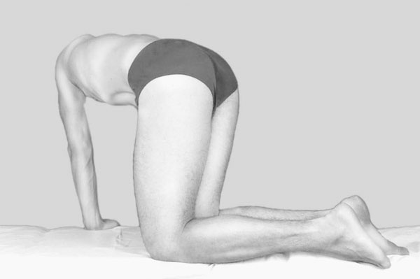 Иллюстрация к книге — Чтобы спина не болела [_075.jpg]