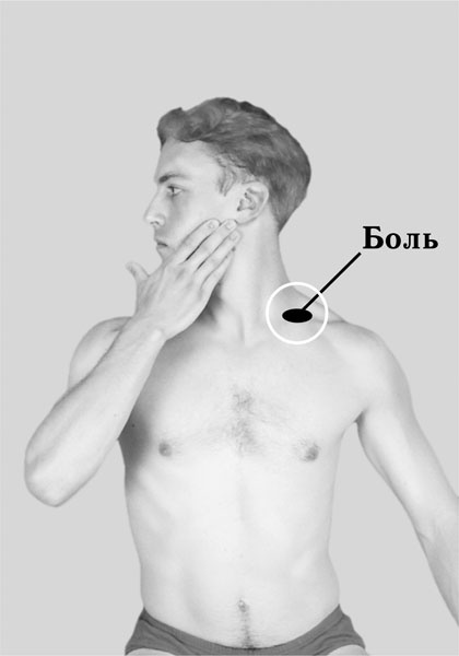 Иллюстрация к книге — Чтобы спина не болела [_1042.jpg]