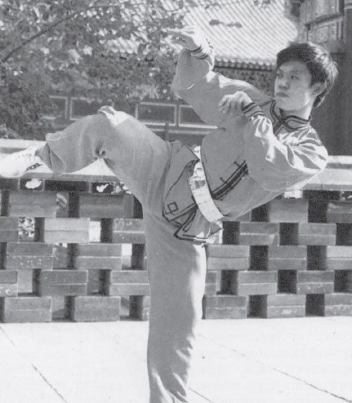 Иллюстрация к книге — Боевая гимнастика. Упражнения китайского ушу для здоровья и самозащиты [i_004.jpg]