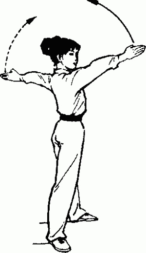 Иллюстрация к книге — Боевая гимнастика. Упражнения китайского ушу для здоровья и самозащиты [i_008.jpg]