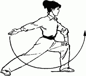 Иллюстрация к книге — Боевая гимнастика. Упражнения китайского ушу для здоровья и самозащиты [i_009.jpg]