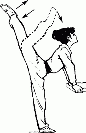 Иллюстрация к книге — Боевая гимнастика. Упражнения китайского ушу для здоровья и самозащиты [i_024.jpg]