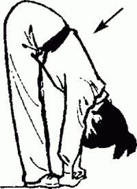 Иллюстрация к книге — Боевая гимнастика. Упражнения китайского ушу для здоровья и самозащиты [i_025.jpg]