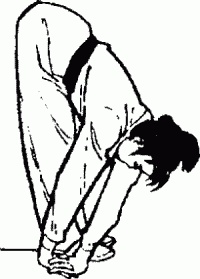 Иллюстрация к книге — Боевая гимнастика. Упражнения китайского ушу для здоровья и самозащиты [i_026.jpg]