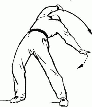 Иллюстрация к книге — Боевая гимнастика. Упражнения китайского ушу для здоровья и самозащиты [i_031.jpg]