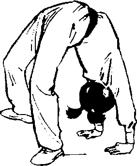 Иллюстрация к книге — Боевая гимнастика. Упражнения китайского ушу для здоровья и самозащиты [i_032.jpg]