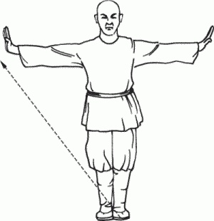 Иллюстрация к книге — Боевая гимнастика. Упражнения китайского ушу для здоровья и самозащиты [i_054.jpg]