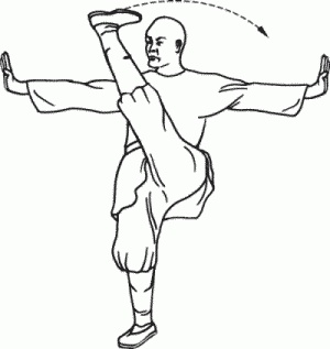 Иллюстрация к книге — Боевая гимнастика. Упражнения китайского ушу для здоровья и самозащиты [i_055.jpg]