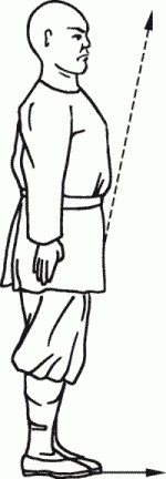 Иллюстрация к книге — Боевая гимнастика. Упражнения китайского ушу для здоровья и самозащиты [i_066.jpg]