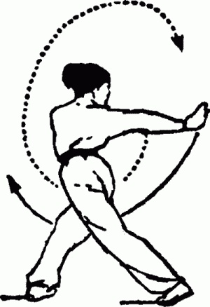 Иллюстрация к книге — Боевая гимнастика. Упражнения китайского ушу для здоровья и самозащиты [i_083.jpg]