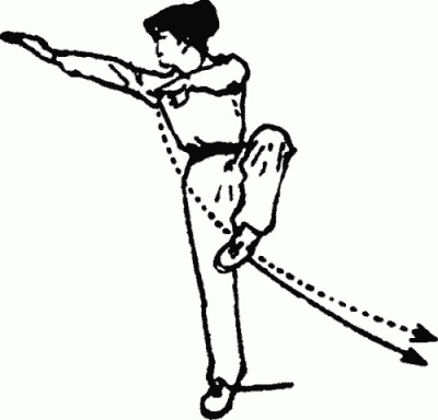 Иллюстрация к книге — Боевая гимнастика. Упражнения китайского ушу для здоровья и самозащиты [i_089.jpg]