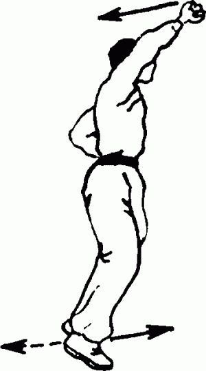 Иллюстрация к книге — Боевая гимнастика. Упражнения китайского ушу для здоровья и самозащиты [i_098.jpg]