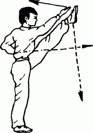 Иллюстрация к книге — Боевая гимнастика. Упражнения китайского ушу для здоровья и самозащиты [i_103.jpg]