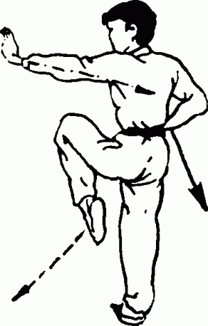 Иллюстрация к книге — Боевая гимнастика. Упражнения китайского ушу для здоровья и самозащиты [i_106.jpg]