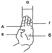Иллюстрация к книге — Боевая гимнастика. Упражнения китайского ушу для здоровья и самозащиты [i_137.jpg]