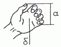 Иллюстрация к книге — Боевая гимнастика. Упражнения китайского ушу для здоровья и самозащиты [i_139.jpg]