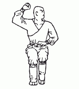 Иллюстрация к книге — Боевая гимнастика. Упражнения китайского ушу для здоровья и самозащиты [i_144.jpg]