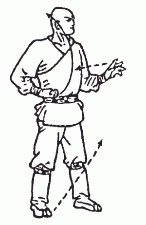 Иллюстрация к книге — Боевая гимнастика. Упражнения китайского ушу для здоровья и самозащиты [i_156.jpg]