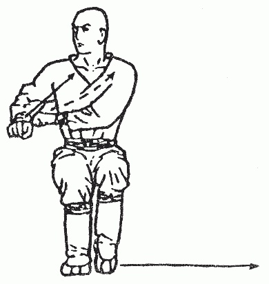 Иллюстрация к книге — Боевая гимнастика. Упражнения китайского ушу для здоровья и самозащиты [i_170.jpg]