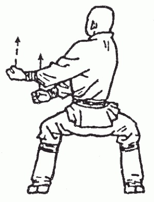 Иллюстрация к книге — Боевая гимнастика. Упражнения китайского ушу для здоровья и самозащиты [i_189.jpg]